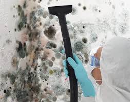 Best Mold Prevention Services  in Oquawka, IL